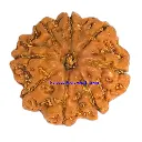 WhatsApp Image 2025-12-01 at 11.15.57 AM.webp