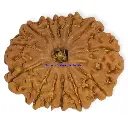 8 Mukhi Rudraksha.webp