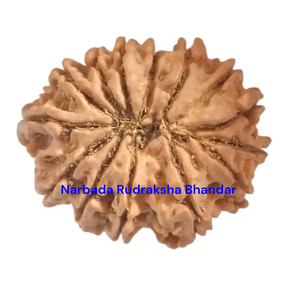 WhatsApp Image 2025-12-10 at 10.03.34 PM (1).webp