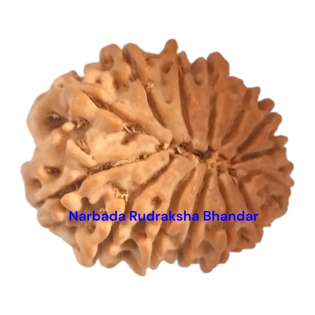 WhatsApp Image 2025-12-10 at 10.03.35 PM (1).webp