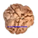 WhatsApp Image 2025-12-10 at 10.07.21 PM (1).webp