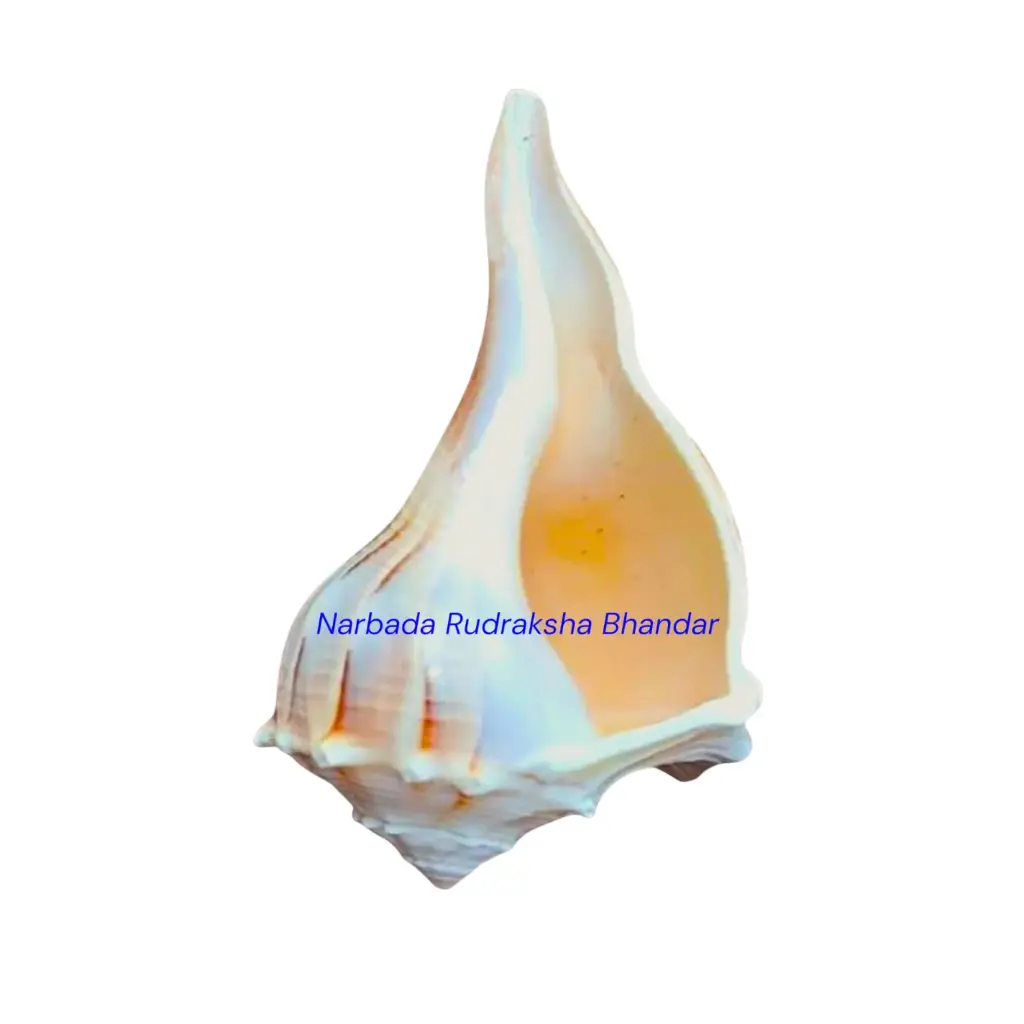 Right Hand Shankha