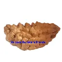 1 Mukhi