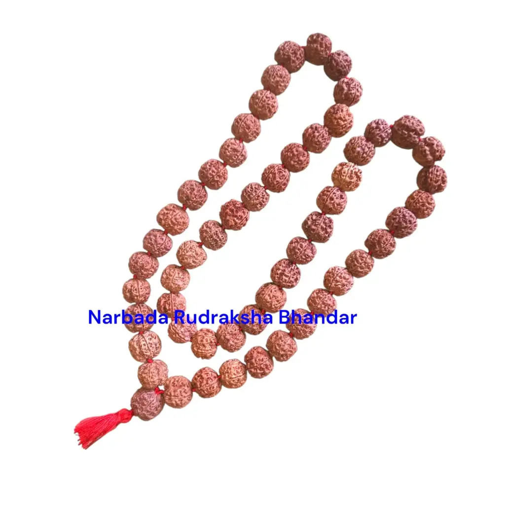 5 Mukhi Rudraksha Japa Mala