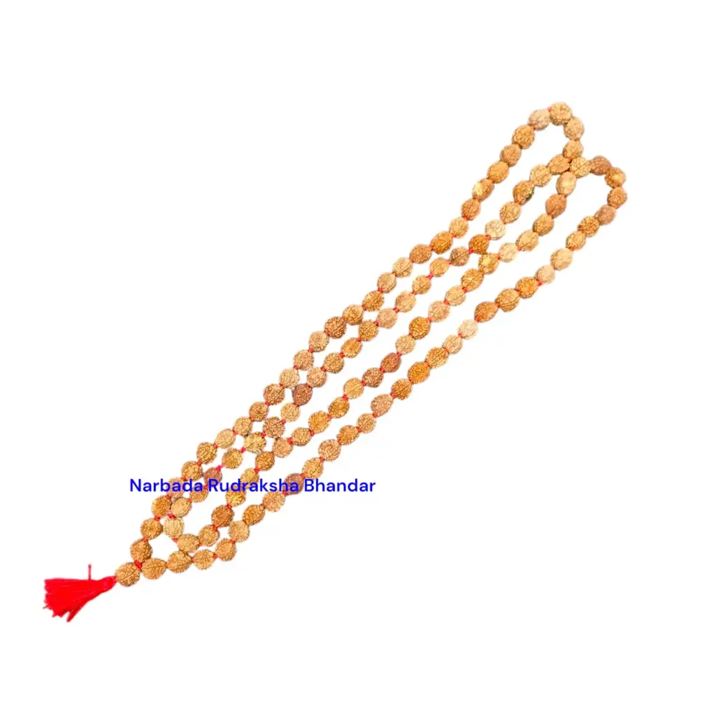 5 Mukhi 108 Japa Mala 