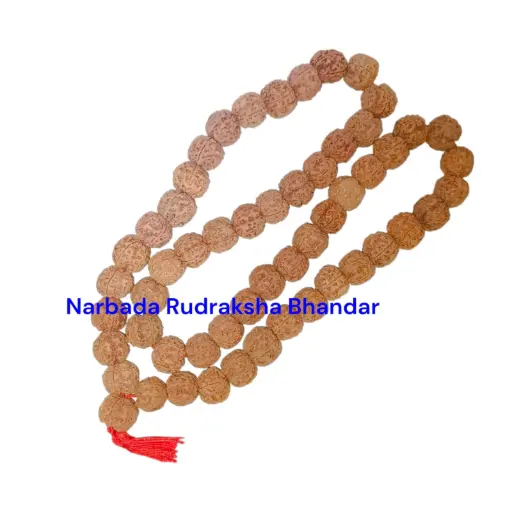5 Mukhi Rudraksha Mala