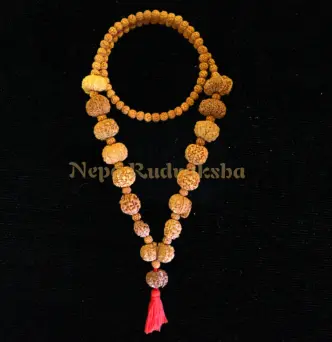 2 Mukhi Complete Chakra Balance Combination (Chakra Balance)